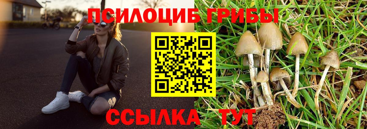Южноуральск  Псилоцибиновые грибы GOLDEN TEACHER  Галлюциногенные грибы мицелий  Вход с VPN 